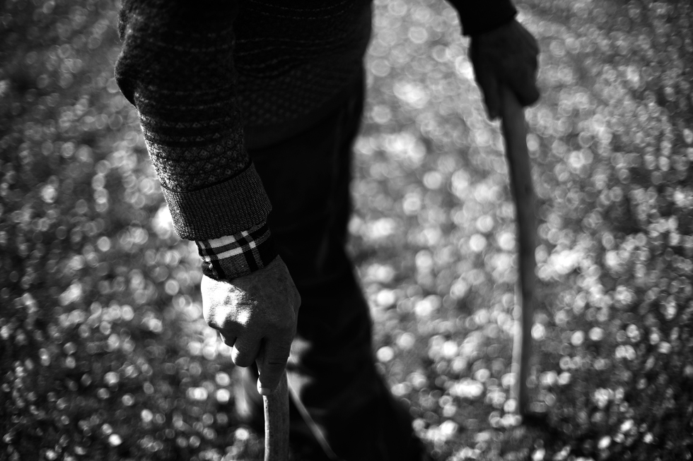 _DSC5234