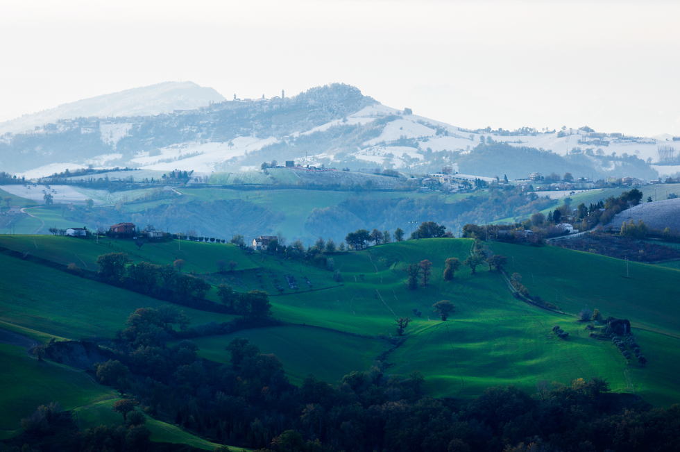 _DSC8847-2