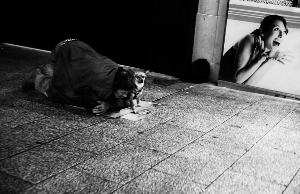 _DSC9353
