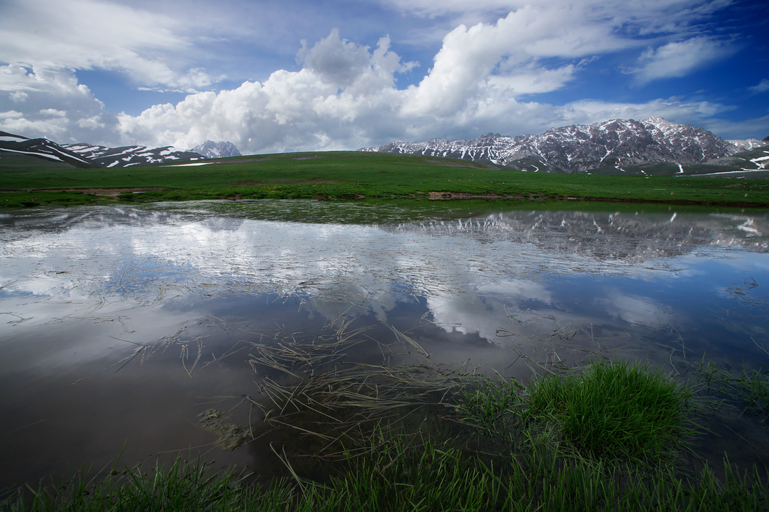 _DSC0451