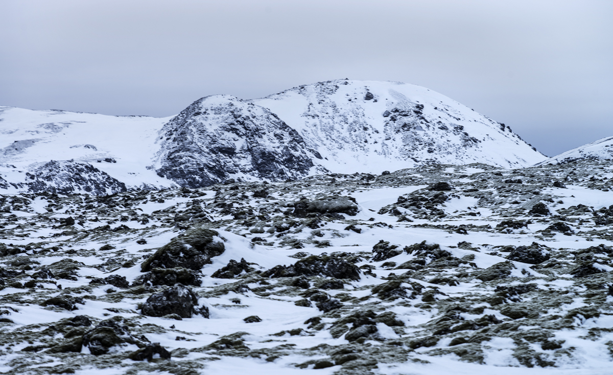 _DSC9484