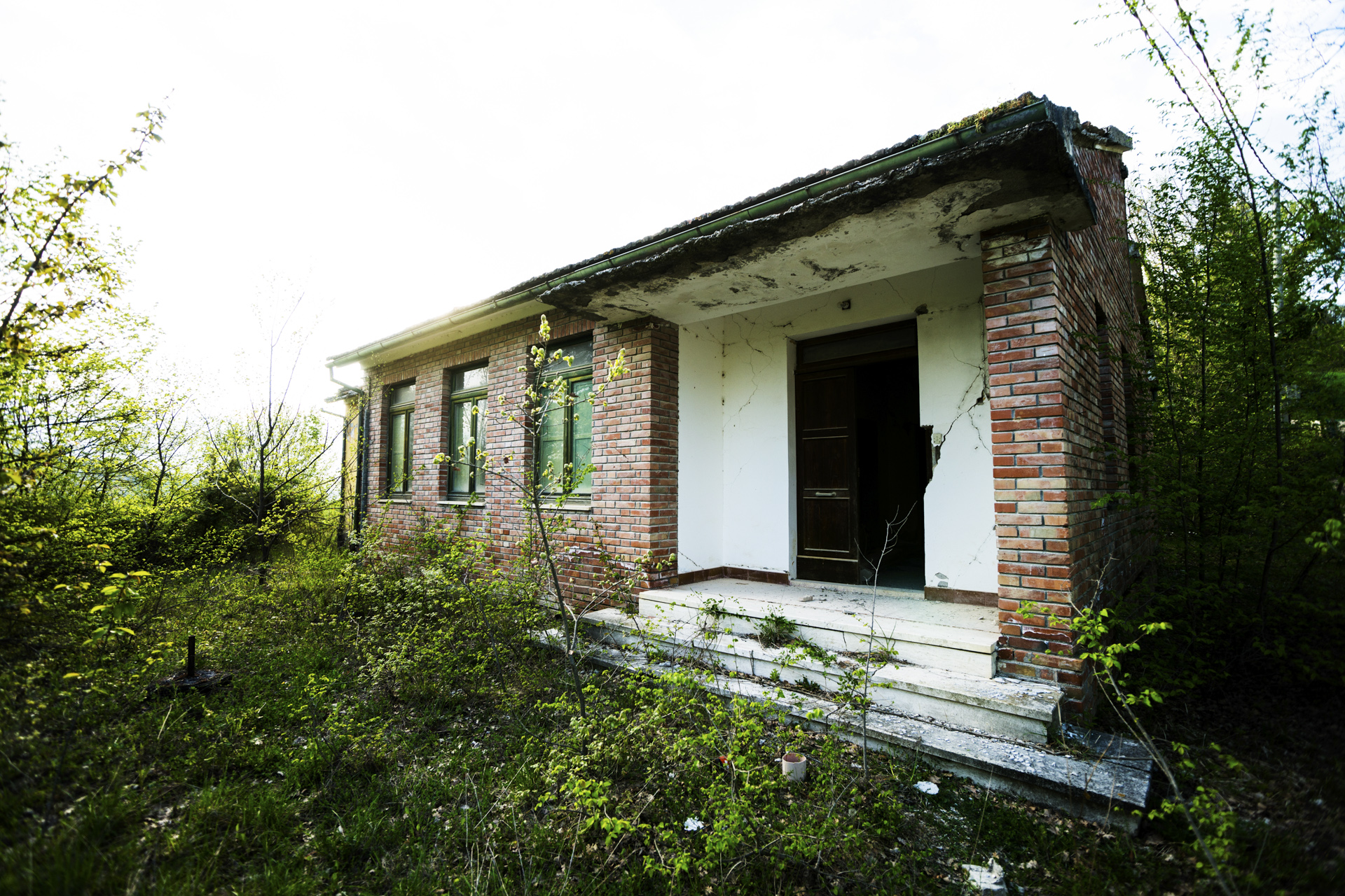 _DSC0446