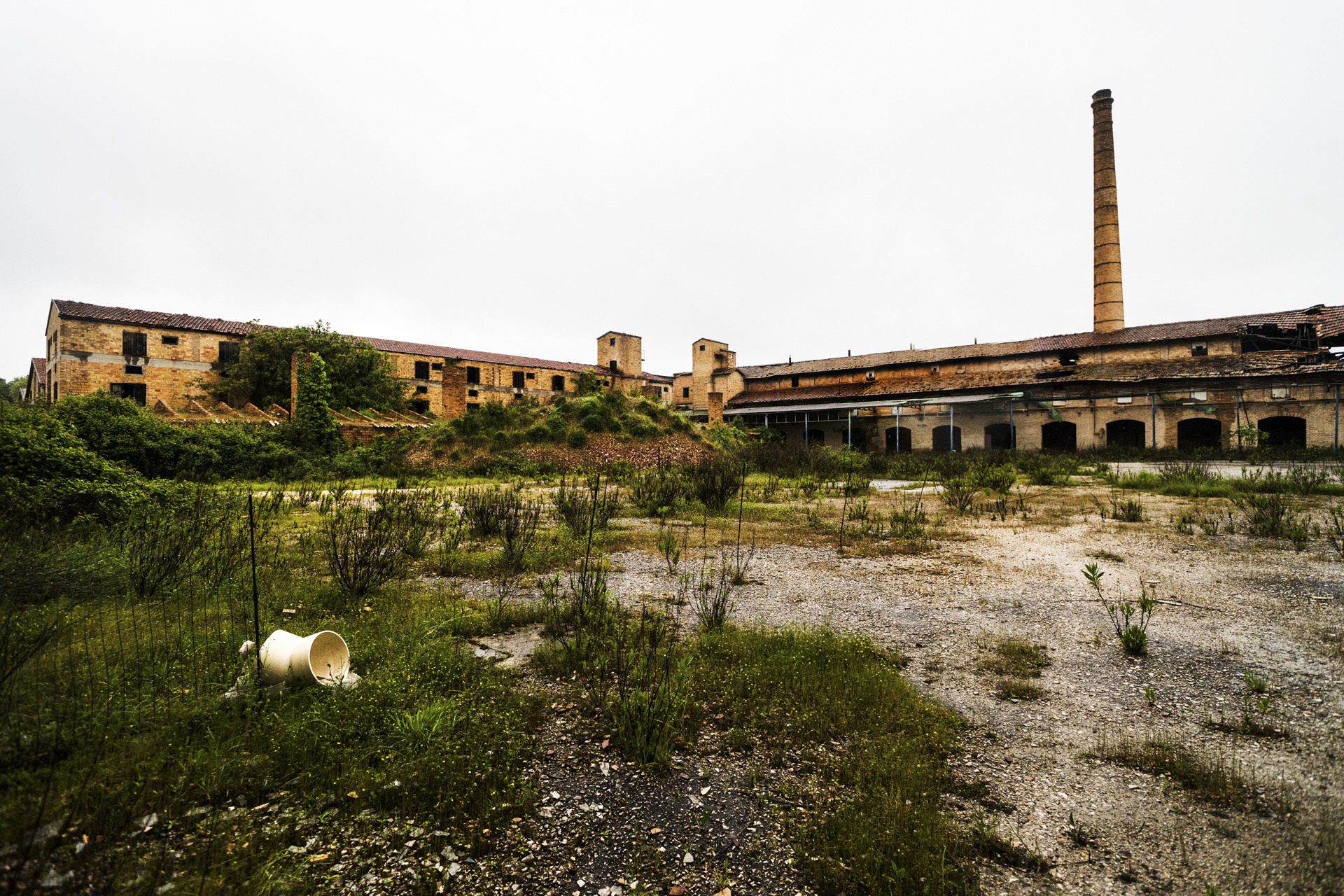_DSC0920