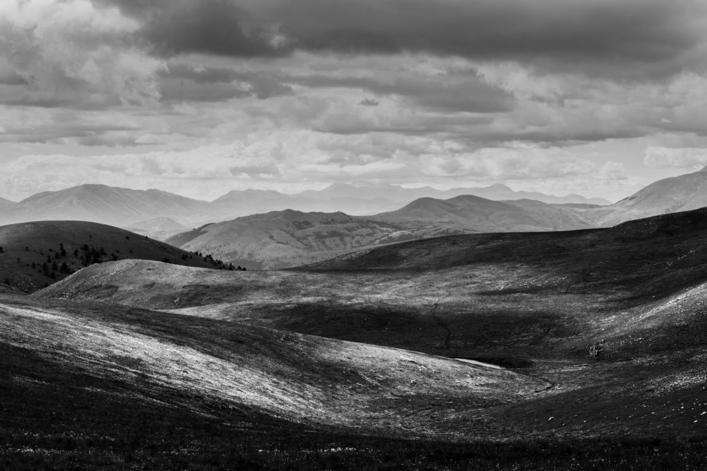 _DSC1481