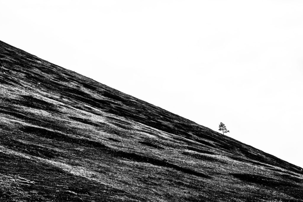 _DSC1679